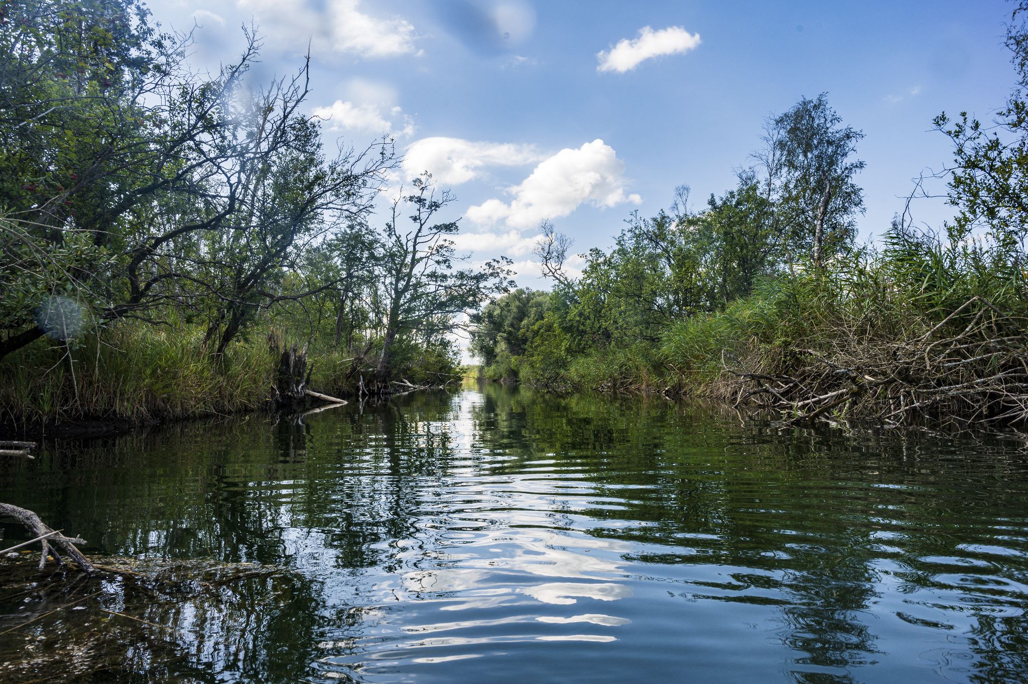 Kajaktour Leutstettner Moos 21.08.2022
